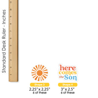 Here Comes The Son Treat Picks - 24 Ct