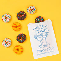 Book titled 'Last Toast on the Coast Recovery Kit' with colorful donuts on a yellow background