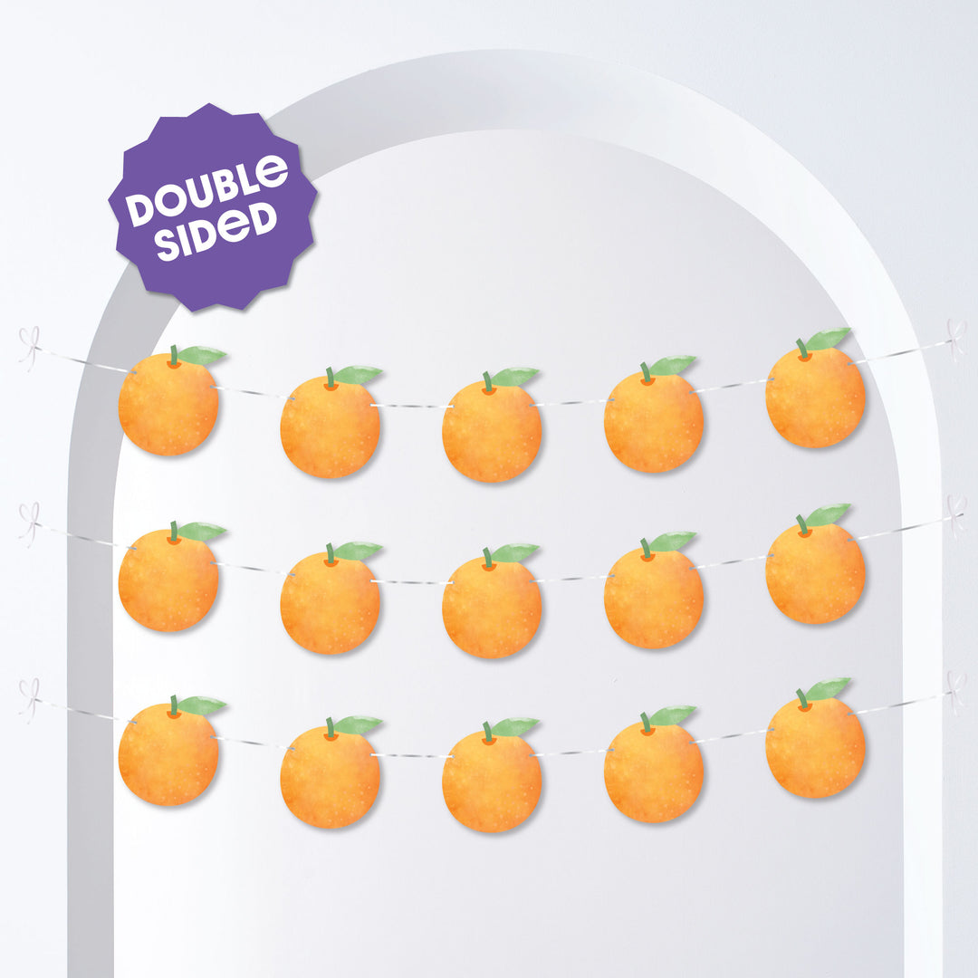 double-sided citrus garland pieces
