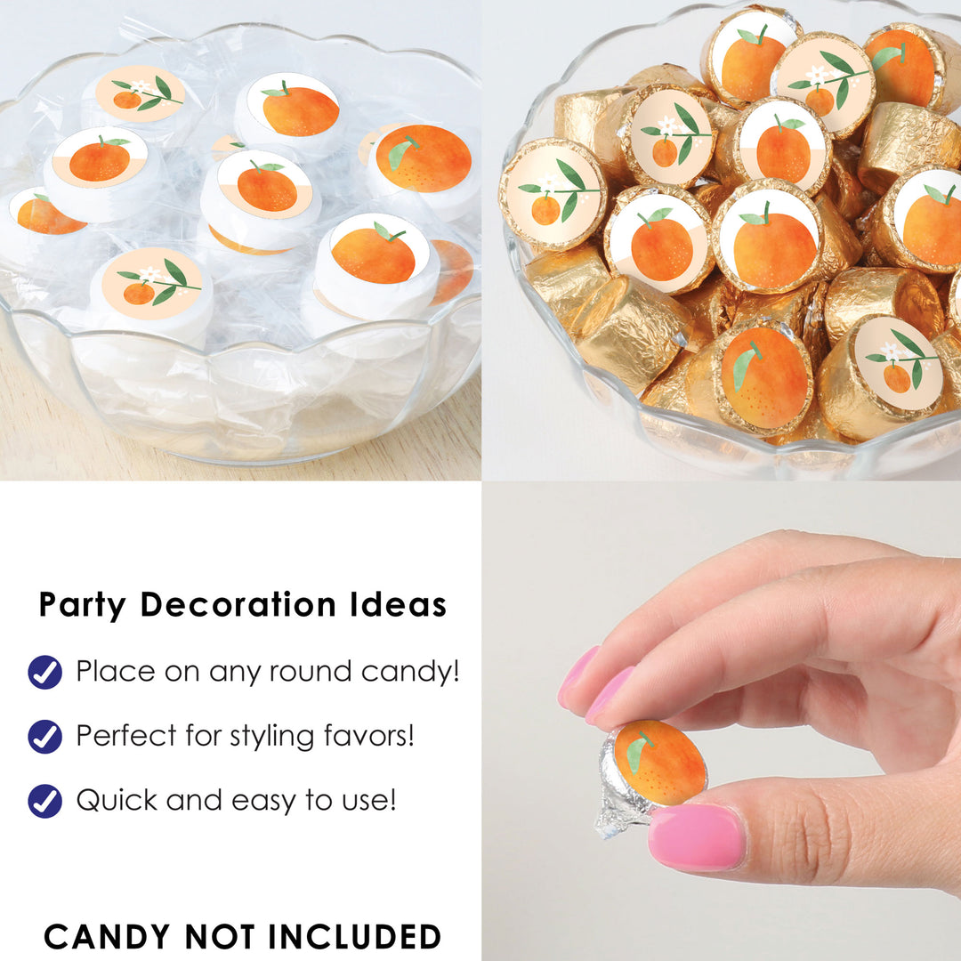 Little Clementine - Orange Citrus Baby Shower and Birthday Party Small Round Candy Stickers - Party Favor Labels - 324 Count