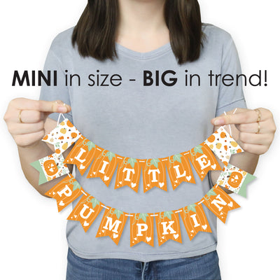 Little Pumpkin - Fall Birthday Party or Baby Shower Mini Pennant Banner