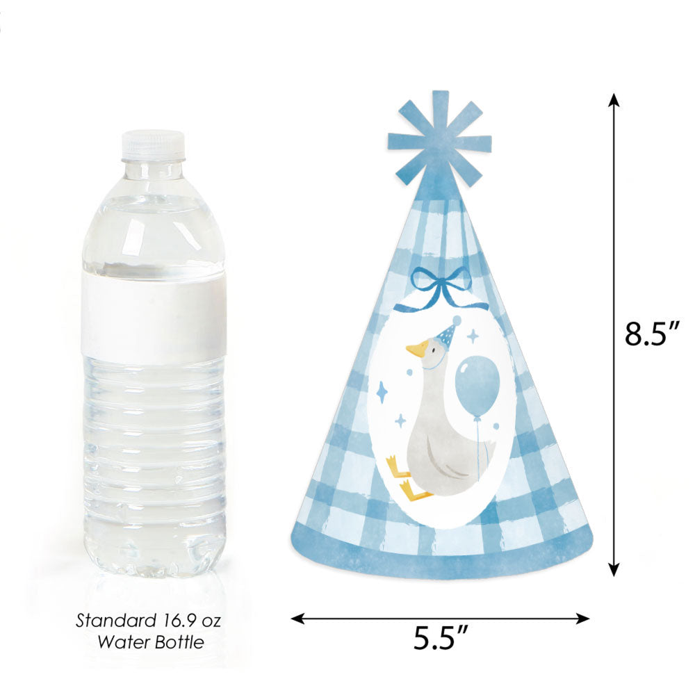 One Silly Goose blue goose and gingham design on cone party hat