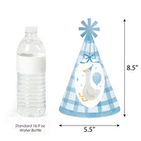 One Silly Goose blue goose and gingham design on cone party hat