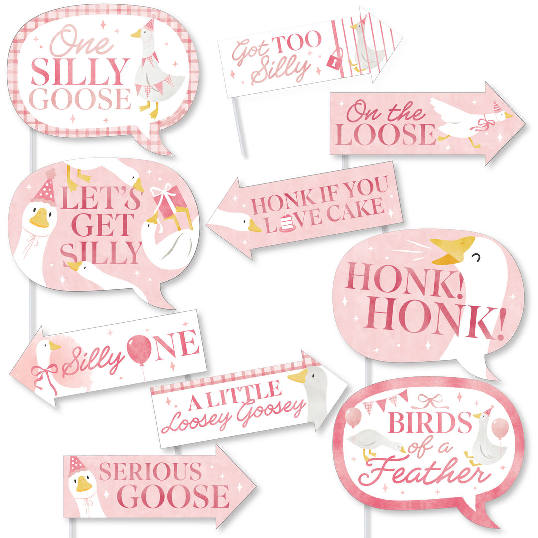 Silly Goose photo booth props with playful sayings for first birthday or baby shower