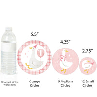 Oversized round confetti with goose designs for girl’s first birthday party
