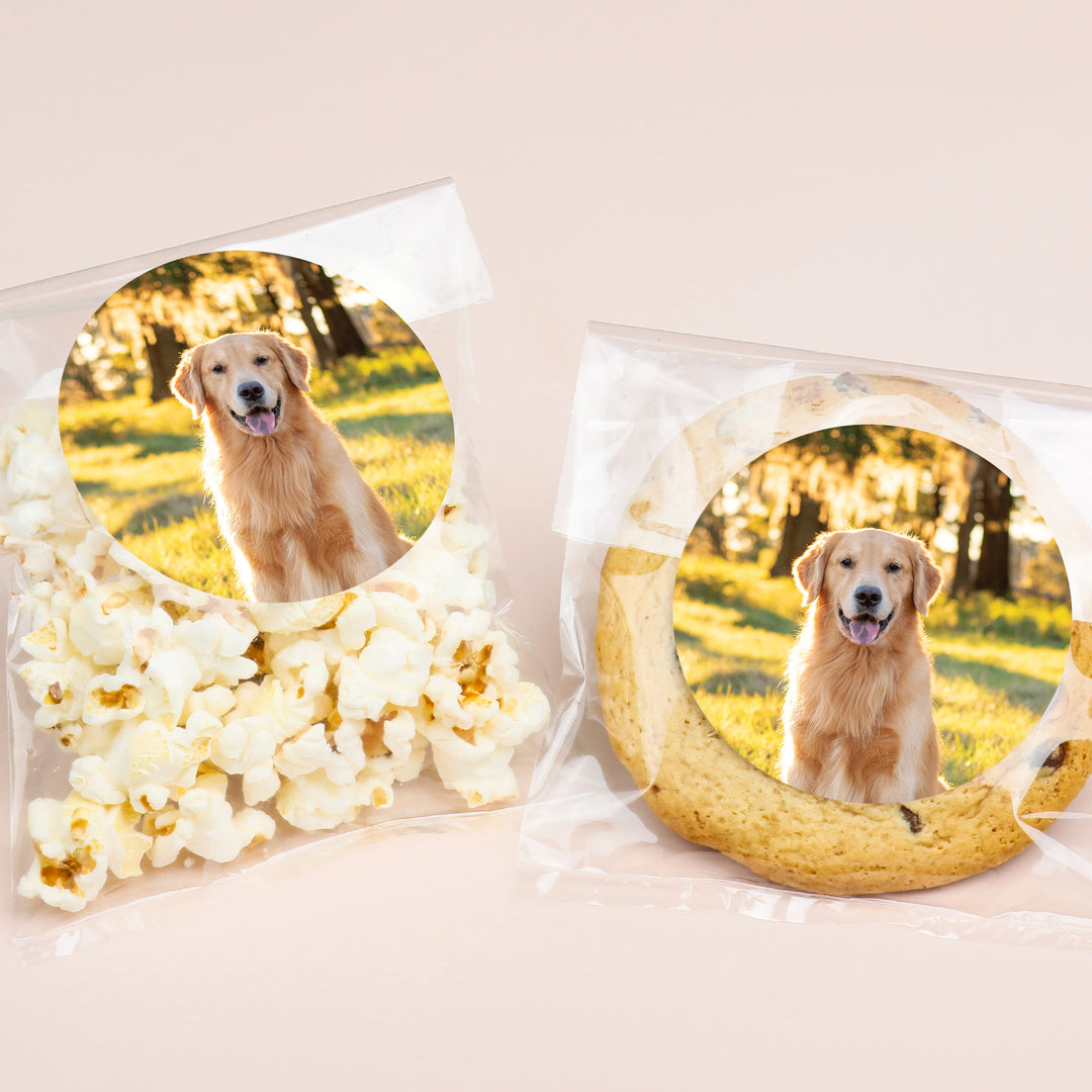 Custom Photo Stickers & Clear Cookie Bags