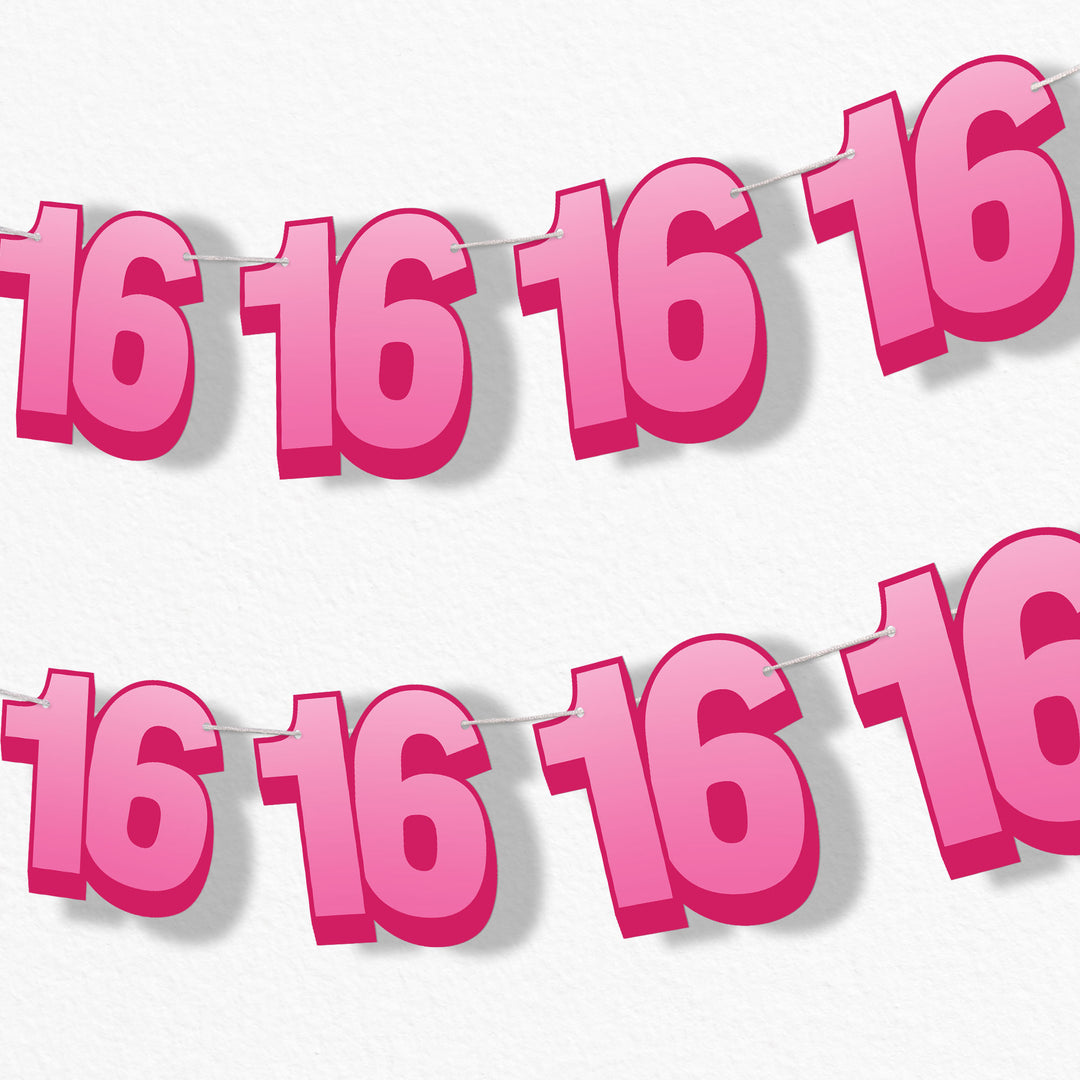 16th birthday party garland banner
