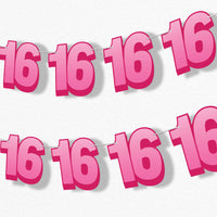 16th birthday party garland banner