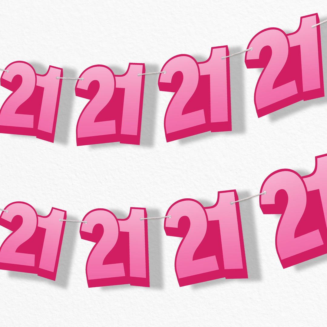 21st birthday party garland banner