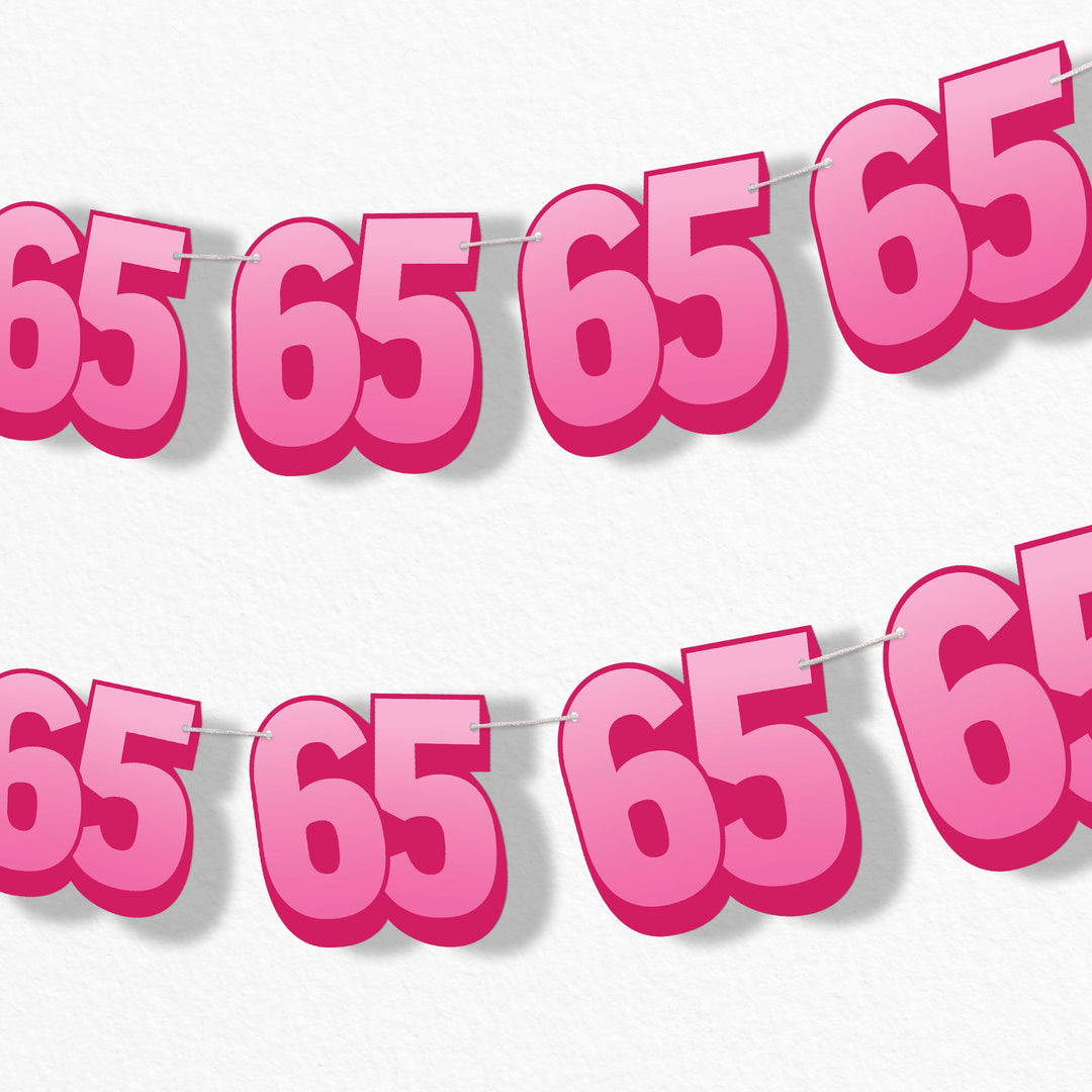 adult 65th birthday party garland banner