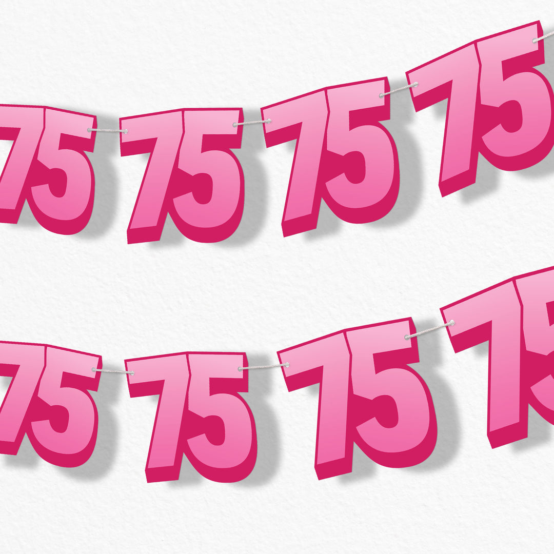 adult 75th birthday party garland banner
