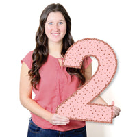 Rose Gold Grad - Large Graduation Party Decorations -  2026 - Outdoor Letter Banner