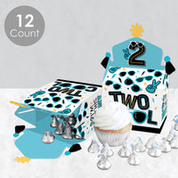 Two Cool - Boy - Treat Box Party Favors - Blue 2nd Birthday Party Goodie Gable Boxes - Set of 12