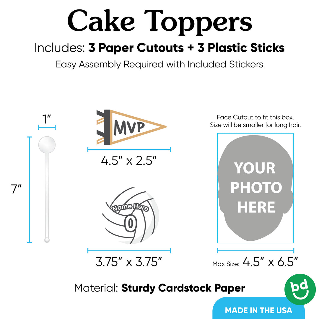 3 piece volleyball cake topper set with sticks included
