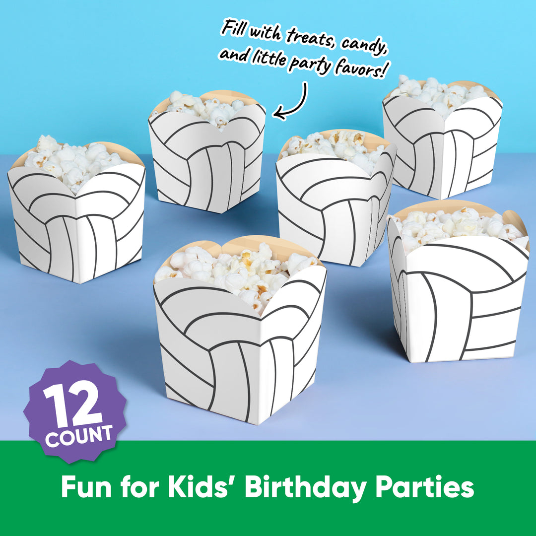 Volleyball Treat Boxes - 12 Ct