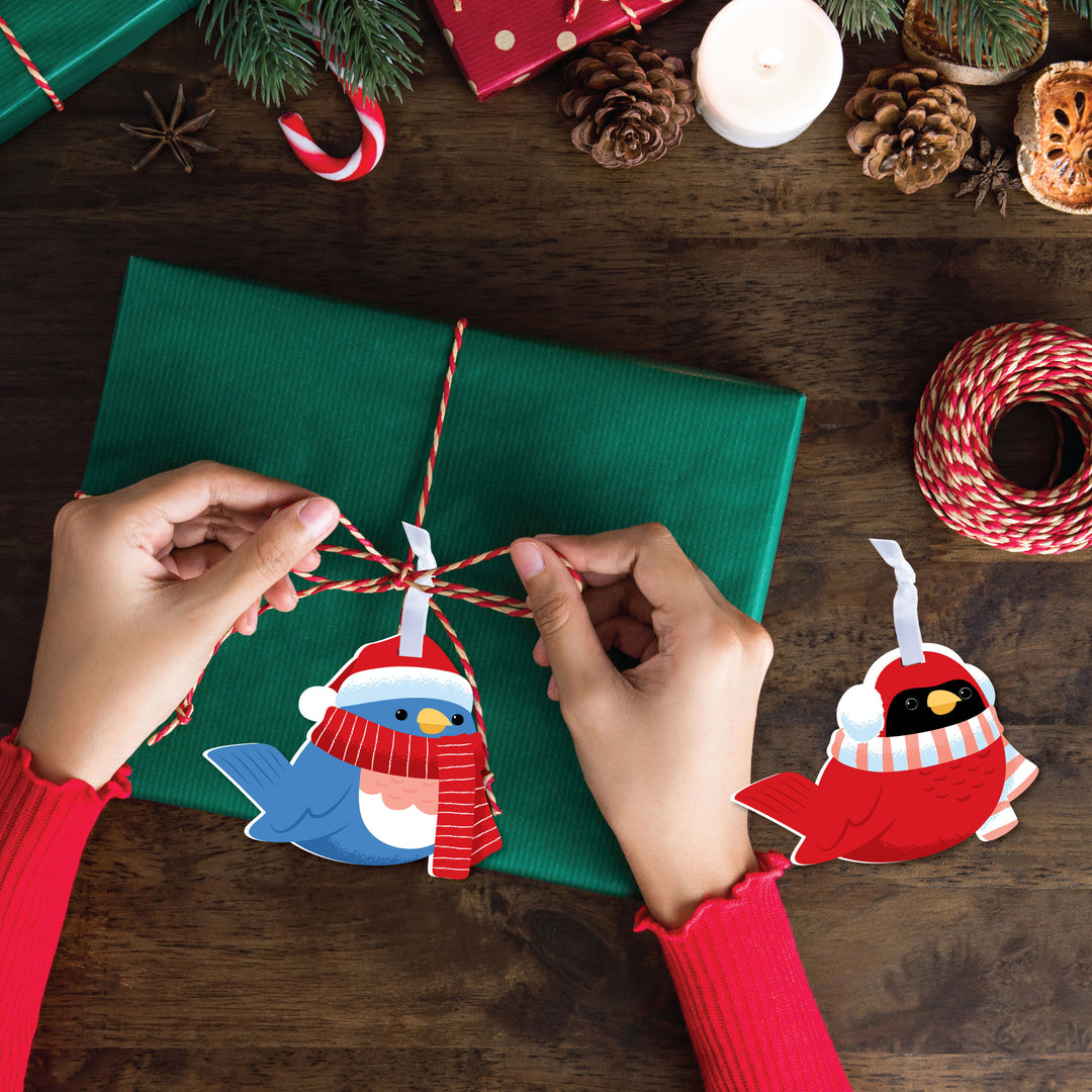 Winter Birds Tree Ornaments - 12 Ct