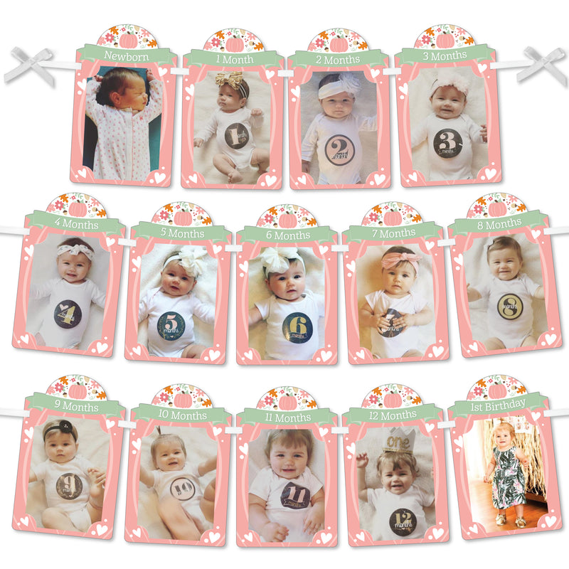 1st Birthday Girl Little Pumpkin - DIY Fall First Birthday Party Decor - 1-12 Monthly Picture Display - Photo Banner