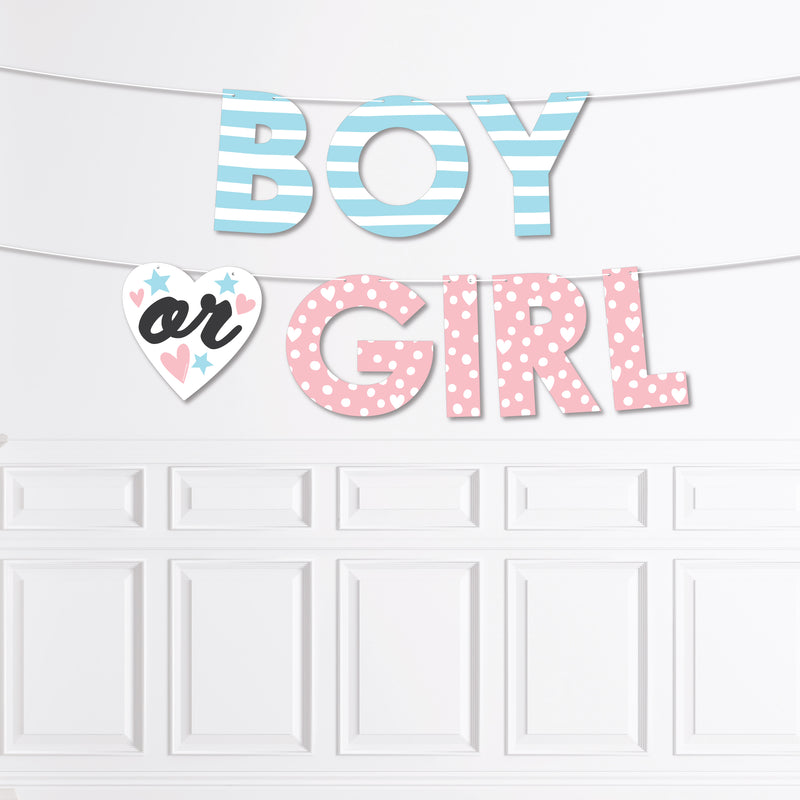 Baby Gender Reveal - Team Boy or Girl Party Decorations - Boy or Girl - Outdoor Letter Banner