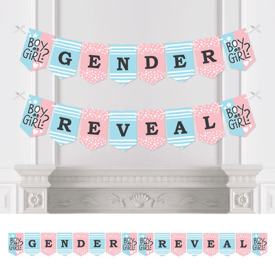 Baby Gender Reveal - Team Boy or Girl Party Bunting Banner - Party Decorations - Gender Reveal