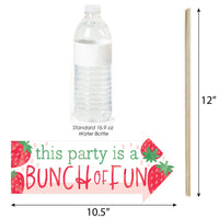 Funny Berry Sweet Strawberry - Fruit Themed Birthday Party or Baby Shower Photo Booth Props Kit - 10 Piece