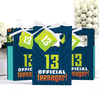 Boy 13th Birthday - Official Teenager Birthday Party Favor Boxes - Set of 12