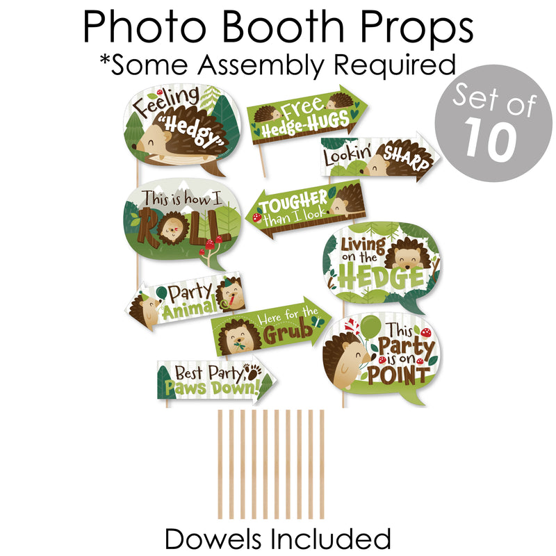 Forest Hedgehogs - Banner and Photo Booth Decorations - Woodland Birthday Party or Baby Shower Supplies Kit - Doterrific Bundle
