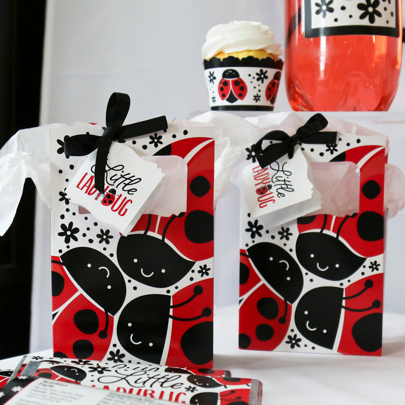 Happy Little Ladybug - Baby Shower or Birthday Party Favor Boxes - Set of 12