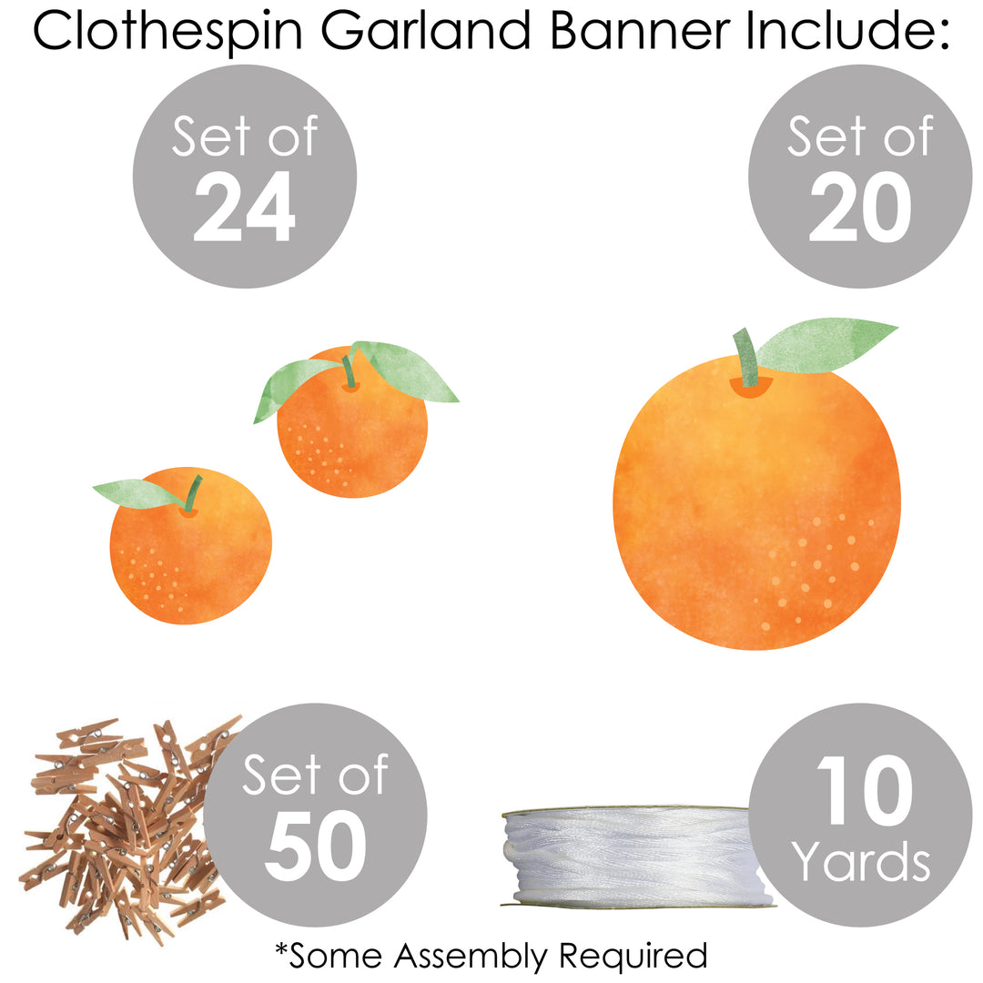 Little Clementine - Orange Citrus Baby Shower or Birthday Party DIY Decorations - Clothespin Garland Banner - 44 Pieces