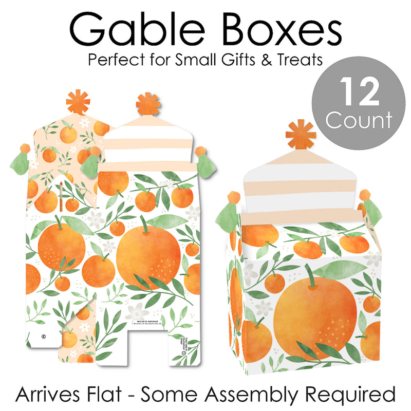 Little Clementine - Treat Box Party Favors - Orange Citrus Baby Shower or Birthday Party Goodie Gable Boxes - Set of 12