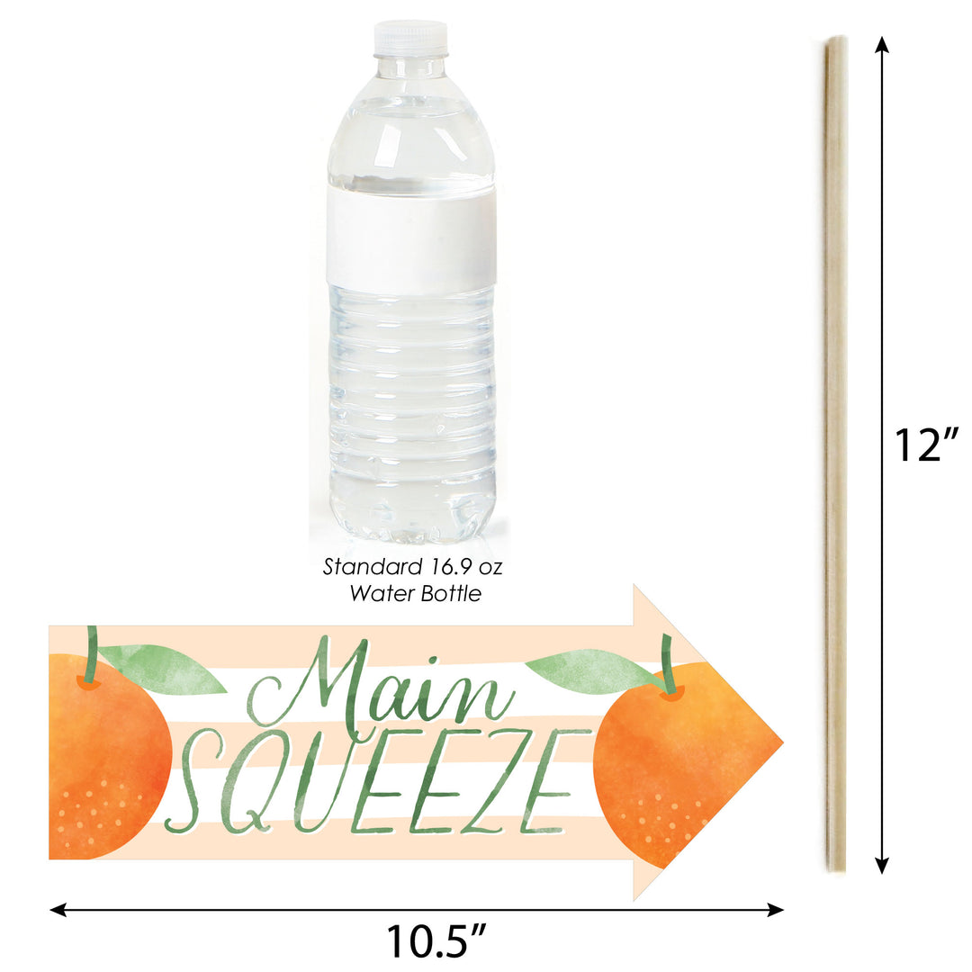 Funny Little Clementine - Orange Citrus Baby Shower or Birthday Party Photo Booth Props Kit - 10 Piece