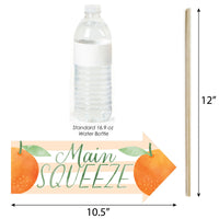 Funny Little Clementine - Orange Citrus Baby Shower or Birthday Party Photo Booth Props Kit - 10 Piece