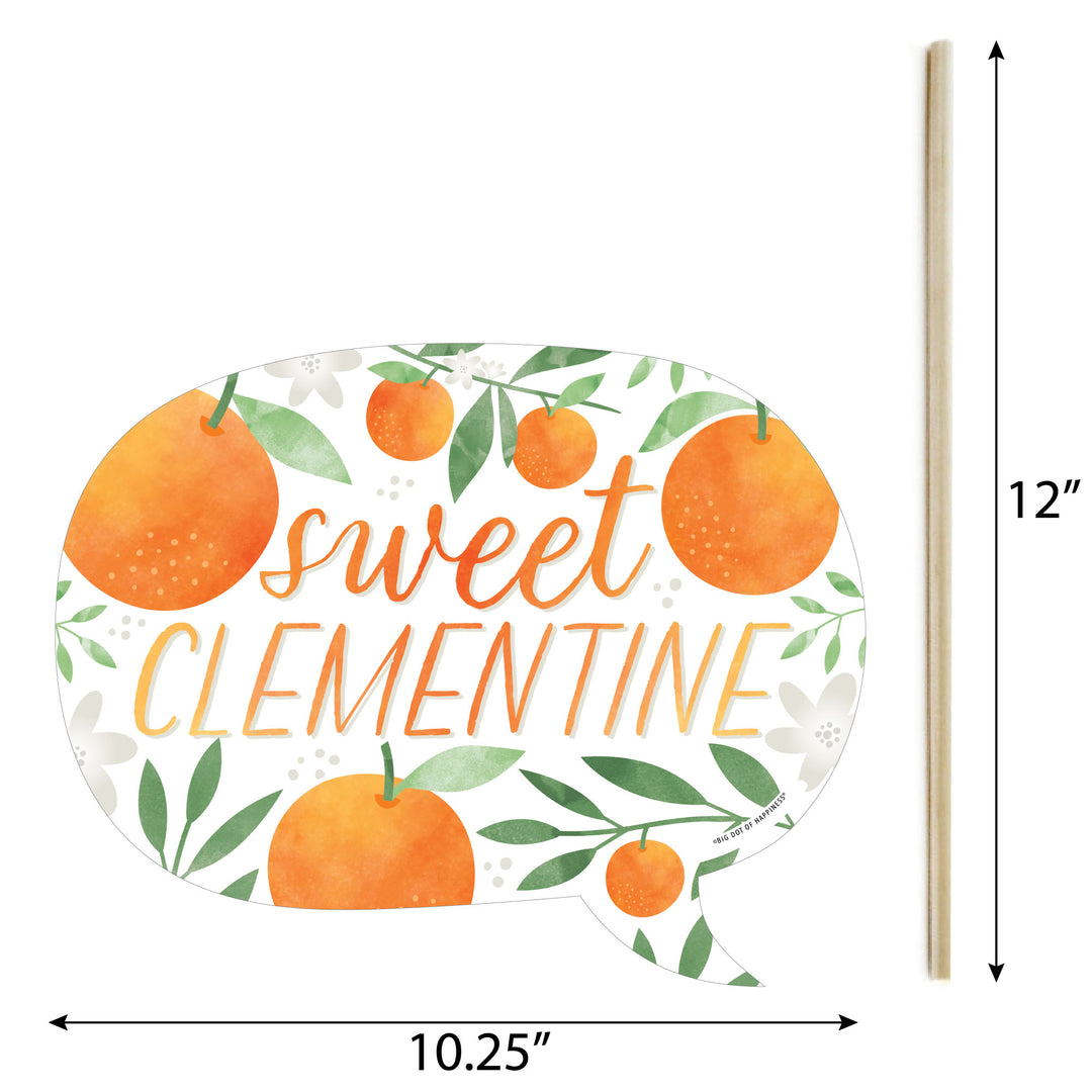 Funny Little Clementine - Orange Citrus Baby Shower or Birthday Party Photo Booth Props Kit - 10 Piece