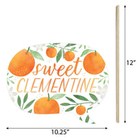 Funny Little Clementine - Orange Citrus Baby Shower or Birthday Party Photo Booth Props Kit - 10 Piece