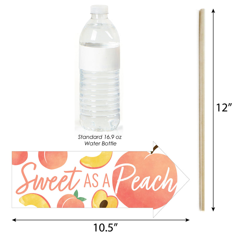 Funny Sweet as a Peach - Fruit Themed Baby Shower or Birthday Party Photo Booth Props Kit - 10 Piece