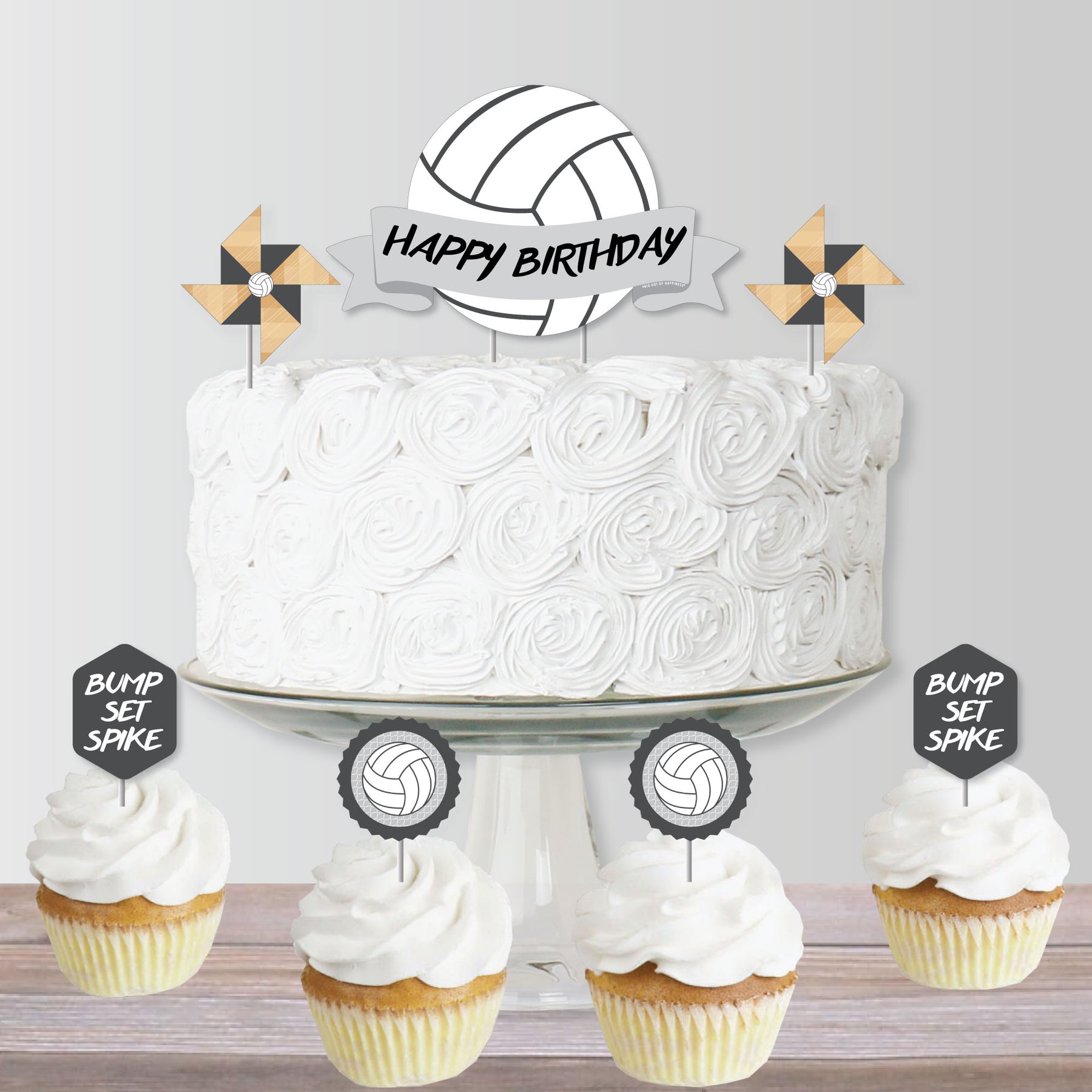 Volleyball” Cake – Rollpublic