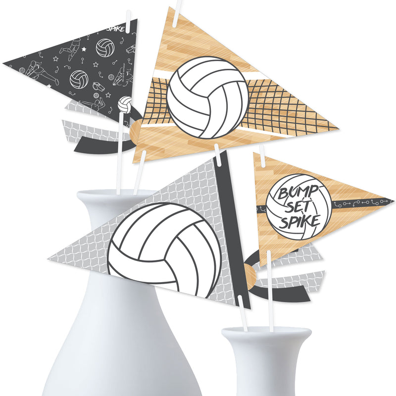 Bump, Set, Spike - Volleyball - Triangle Baby Shower or Birthday Party Photo Props - Pennant Flag Centerpieces - Set of 20