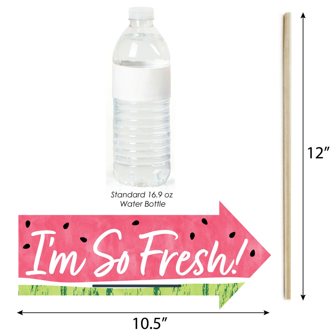 Funny Sweet Watermelon - Fruit Party Photo Booth Props Kit - 10 Piece