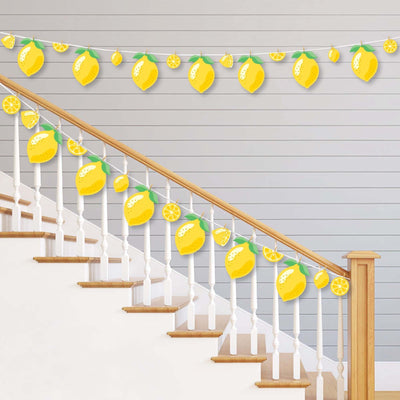 So Fresh - Lemon - Citrus Lemonade Party DIY Decorations - Clothespin Garland Banner - 44 Pieces