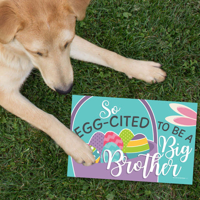 Hippity Hoppity - Photo Prop Signs - Easter Bunny Pregnancy Announcements - 10 Pieces