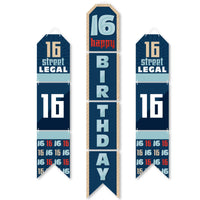 Boy 16th Birthday - Hanging Vertical Paper Door Banners - Sweet Sixteen Birthday Party Wall Decoration Kit - Indoor Door Decor