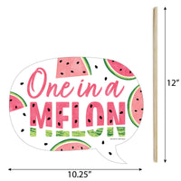 Funny Sweet Watermelon - Fruit Party Photo Booth Props Kit - 10 Piece